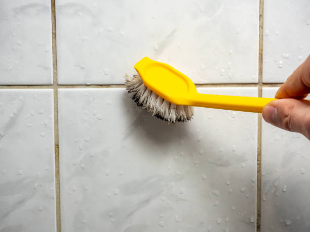 Certified Mold Removal in Chrisman, IL