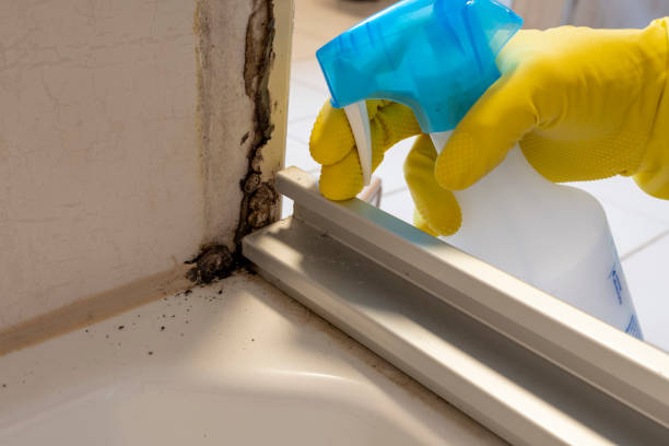Water Damage Restoration in Chrisman, IL