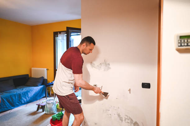 Best Mold Testing and Removal  in Chrisman, IL